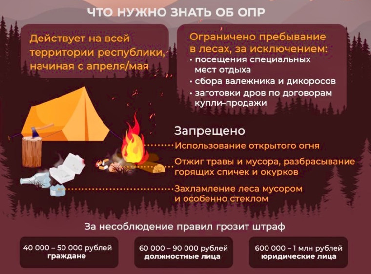 В лесах Бурятии введен особый противопожарный режим Республика Бурятия.